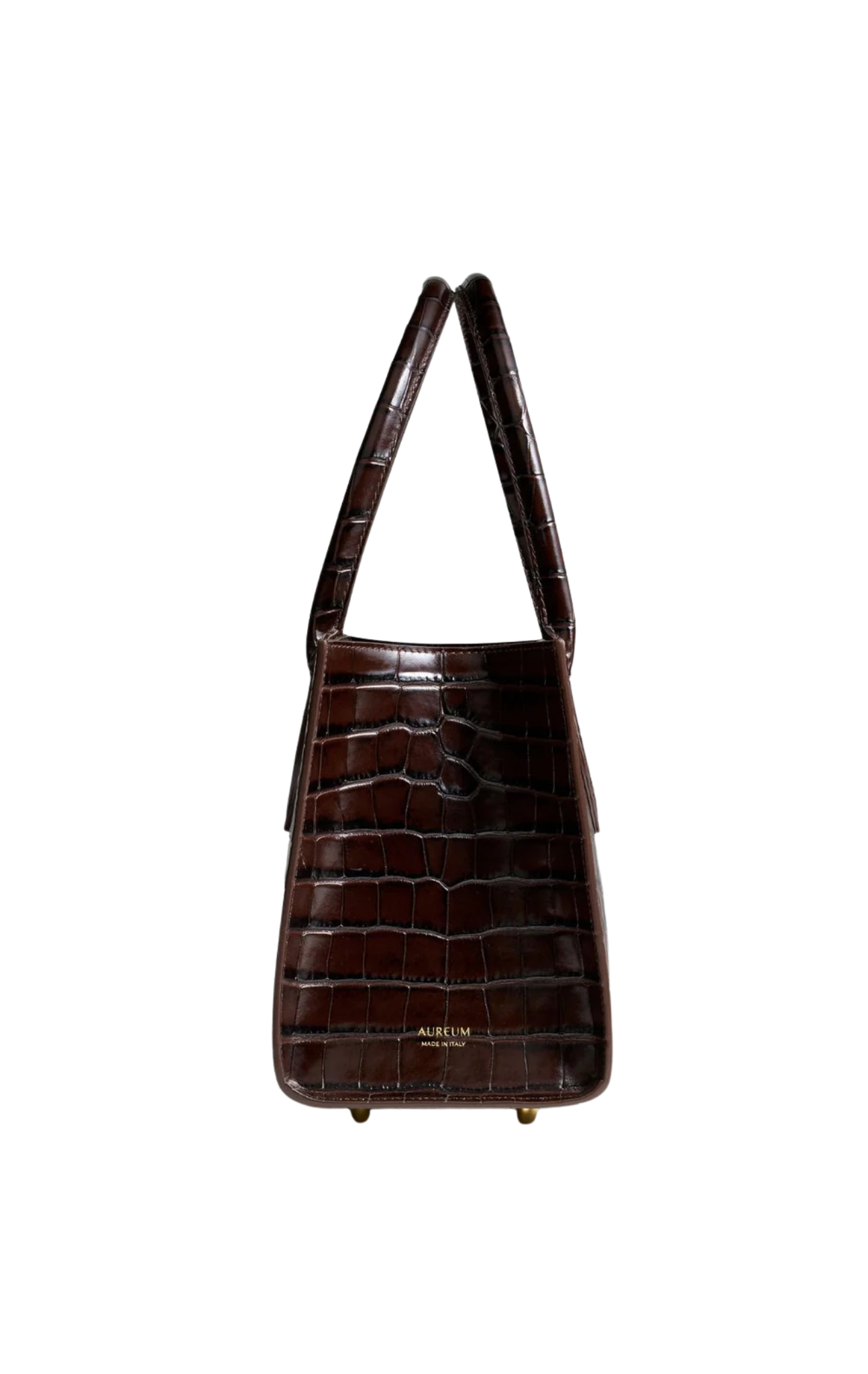 Vittoria Everyday Bag in Espresso/Croc